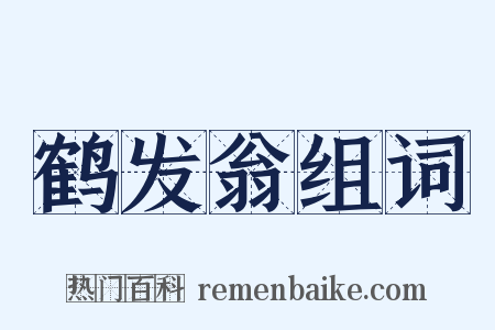 鹤发翁组词是什么意思的图片